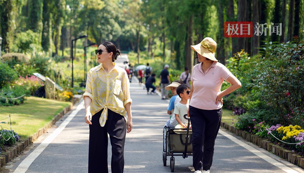 梯子游戏安全网站